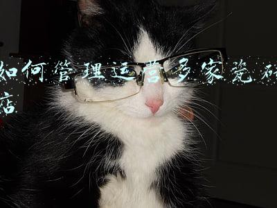 如何管理运营多家瓷砖店