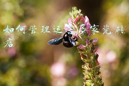瓷砖店怎么经营(为了把瓷砖卖出去，他们尝试了这些招数)