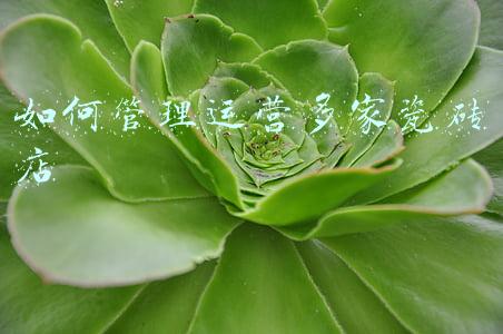 品牌瓷砖店管理制度(瓷砖门店营销团队难以管理，怎么办？)