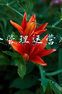 资金管理风险对企业带来什么样的风险(上市公司主要银行账户突然被冻结！公司称：有较大影响)