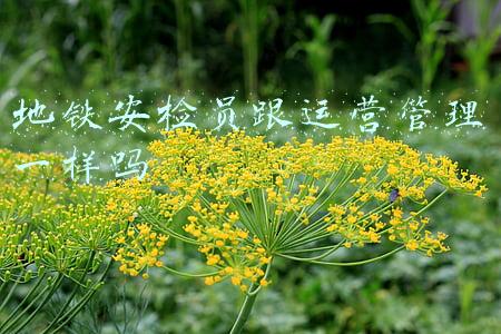 地铁安检员跟运营管理一样吗