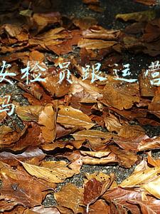 地铁安检员跟运营管理一样吗