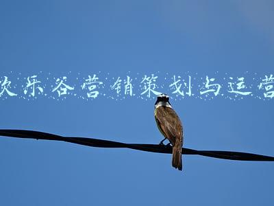 欢乐谷营销策划与运营