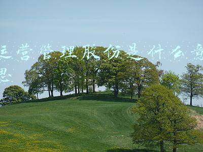 隧道股份城市运营集团(上海桥孔下的转变你看到了吗？“道班房”正在改造打造成“道梦空间”)