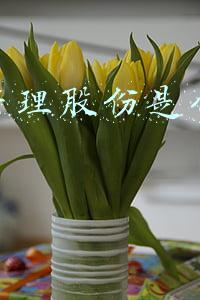 鞍钢股份运营能力分析(鞍钢股份智慧运营一体化管控系统鲅鱼圈、朝阳基地成功上线)