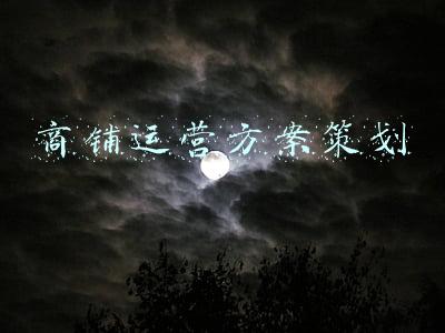 商铺运营方案策划