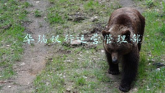 华瑞银行官网(存在11项违规行为 上海华瑞银行被罚没超520万元)
