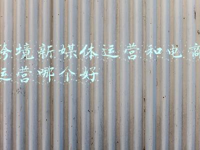 跨境新媒体运营和电商运营哪个好