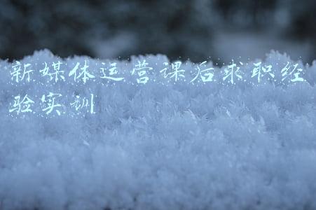 新媒体运营课后求职经验实训