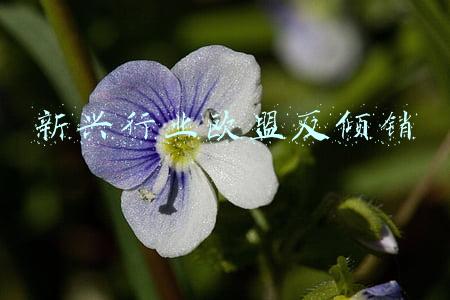 新兴行业欧盟反倾销