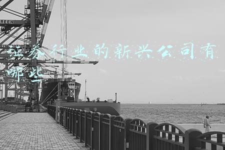 证券公司行业排名(“2021中国证券业上市公司品牌价值榜”正式发布：券商上榜门槛同比提升23% 2家券商新进入TOP30)