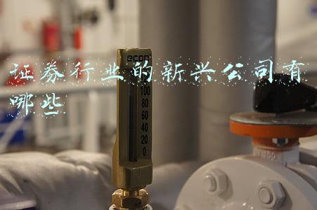 证券公司行业分析(渤海证券点评A股异动：海外市场动荡是主因，不必过度担忧)