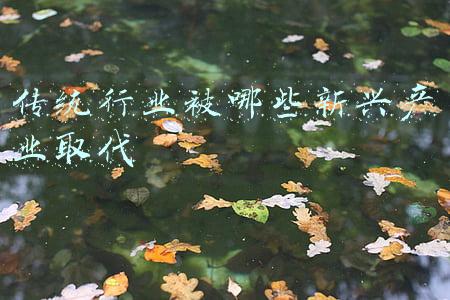 传统媒体和新兴媒体(学习关键词丨三年前的这堂课，媒体人牢记在心)