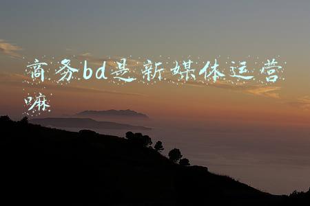 商务bd是新媒体运营嘛