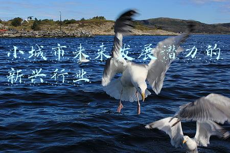大城市小爱情电视剧(媚黑？插足闺蜜？和顶流传绯闻？这个“谋女郎”人不红故事倒挺多)