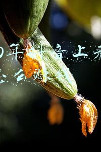 抖音没粉丝怎么赚钱(教你抖音头条怎么涨粉丝（不用发作品）)
