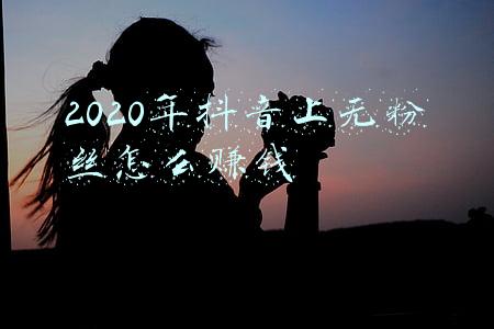 2020年抖音上无粉丝怎么赚钱