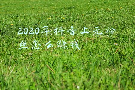 2020年微博粉丝白皮书(《2020微博动漫白皮书》：市场规模扩大与营销创新共存)