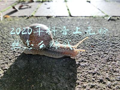 2020微博粉丝白皮书(微博下线“明星势力榜”，饭圈乱象何时休？)