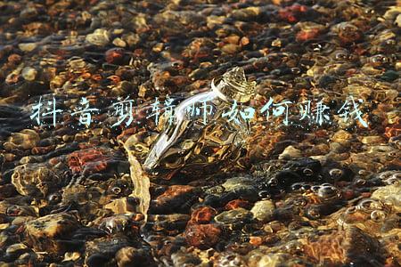 剪辑师怎么赚钱(黑马职业！三线城市剪辑师，也能做到月入4W)