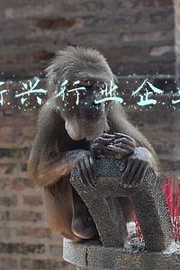 中国城市高新企业数量排名(全国第六，全省第二！)