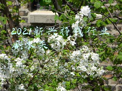 2021新兴挣钱行业剧本杀