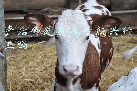 产后修复是属于什么行业(产后康复的现状和前景，一个超1000亿的市场)
