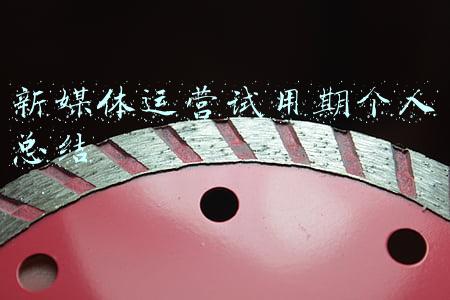 新媒体运营转正工作总结报告(转正总结及心得)