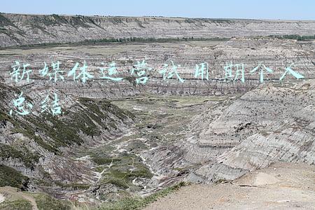 新媒体运营实训总结2500字(新兴电竞赛道，为何吸引赞助商争相入局？)
