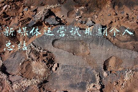 新媒体个人总结报告(这里有一份，新媒体人年终总结指南（建议收藏）)