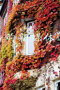 靠谱的新媒体运营