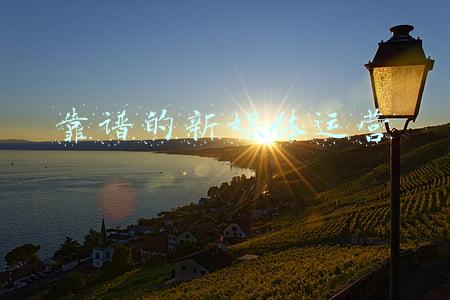 沈小星的自媒体课靠谱(挖掘个人优势，找到你的赚钱超能力)