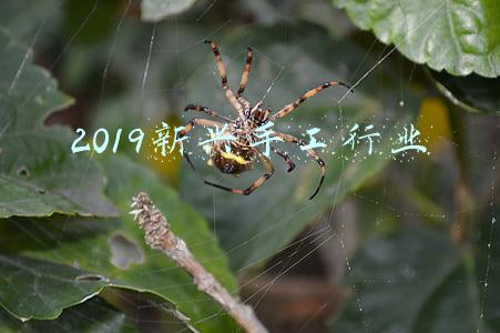 2019新兴手工行业