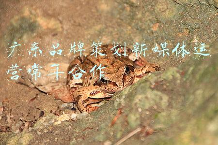 广东行销策划群(产业小镇调查｜“家电名镇”北滘镇：“中国制造”的观察之窗)