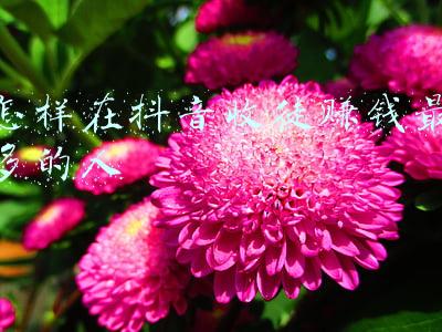 抖音带徒弟赚钱是真的吗(刷一个赞给一块钱 师傅带徒弟赚钱？警方：都是骗子)