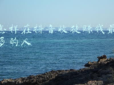 怎样在抖音收徒赚钱最多的人