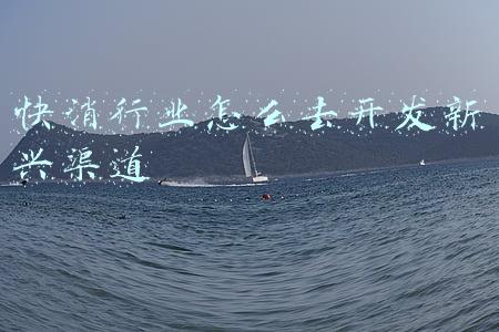 快消行业的销售渠道(重磅独家 | 2019-2020年，中国快消品行业全渠道报告汇总一览)
