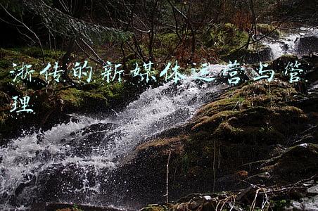 浙传的新媒体运营与管理