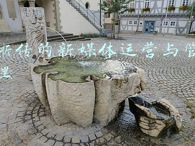 浙传的新媒体运营与管理