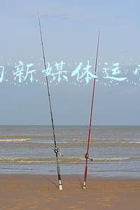 浙传的新媒体运营与管理