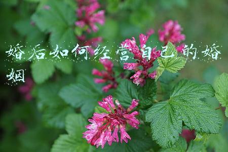 新婚姻法婚后房产归属；新婚姻法房屋产权归属