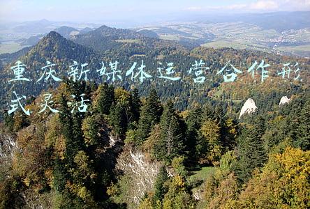 重庆新媒体运营合作形式灵活