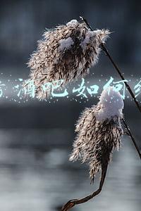 烧烤酒吧经营模式(烧烤酒吧的经营模式)
