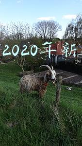 日本2020年邮票(日本开售庆祝2020年东京奥运会残奥会邮票)