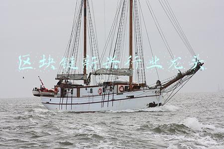目前最火的区块链项目(Z世代商业周报｜泡泡玛特将在北京打造线下乐园；微信支持数字人民币支付；火链科技牵手吉宏股份开启“元酒时代”)
