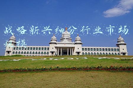细分市场定义(报告太多，市场洞察怎么做？)