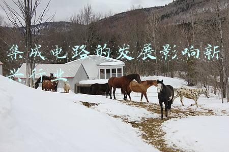 我国集成电路的发展机遇与挑战(2022-2027年集成电路行业全景调研及发展前景预测分析报告)