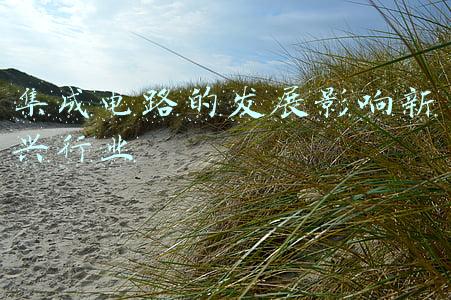 集成电路的发展与应用(为产业发展解“芯”事 这所高校牵头成立“湖南省集成电路技术应用产教联盟”)