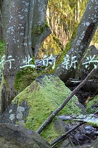 服务行业的服务质量(茶楼服务质量提上去，但是营收不变，不是你不努力，而是方法不对)