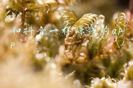 抖音点赞佣金赚钱app(抖音点赞刷单诈骗多发，立即下载“国家反诈中心”APP保安全！)